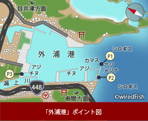 外浦港 の釣り 宮崎県 日南市 釣り情報サイト Wiredfish