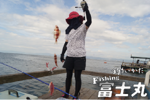フィッシング富士丸 錦江湾の本格派釣り筏 鹿児島県垂水市海潟沖 桜島有村埼沖 カンパチ ハガツオ マダイ イシダイ アジ サバ アオリイカ イトヨリ など
