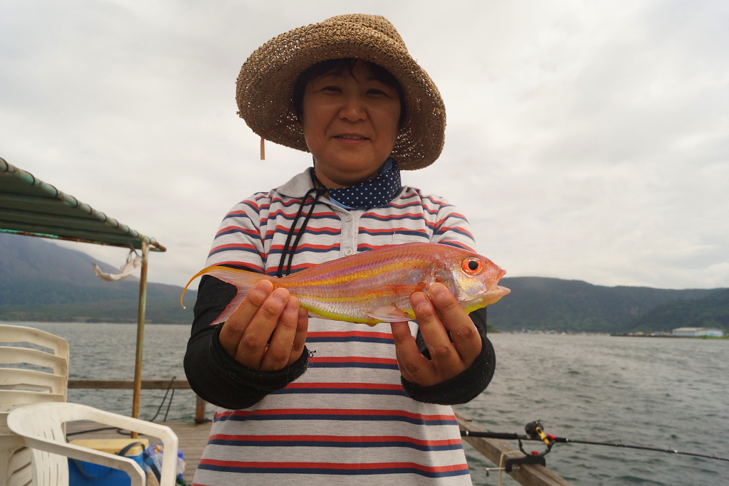 イトヨリダイ イトヨリ 釣りの対象魚 釣り情報サイト Wiredfish