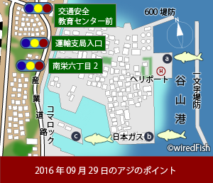 アジ子 次第に良型化 鹿児島県 鹿児島市 谷山港 釣り情報サイト Wiredfish