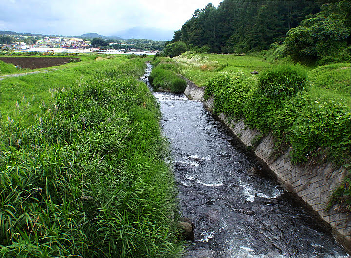 諏訪湖流入河川の釣り 渓流釣り 釣り情報サイト Wiredfish