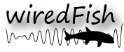 釣り情報サイト wiredFish